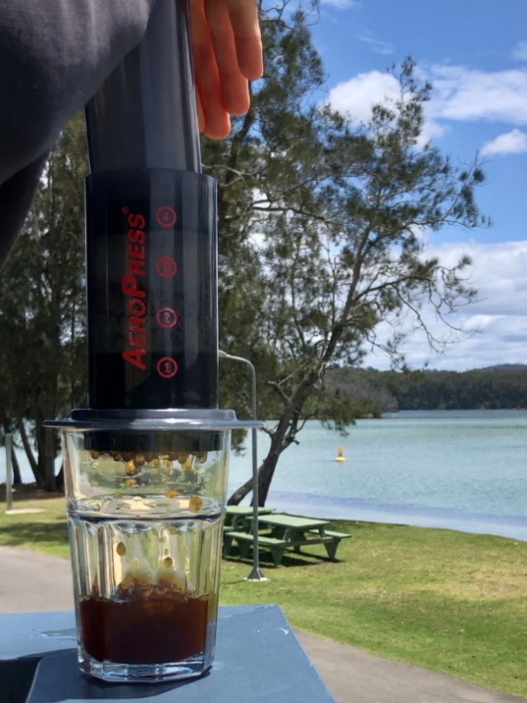 coldbrew maker aeropress making cold brew in the park